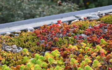 the cost of Sparnon Gate green roof installation